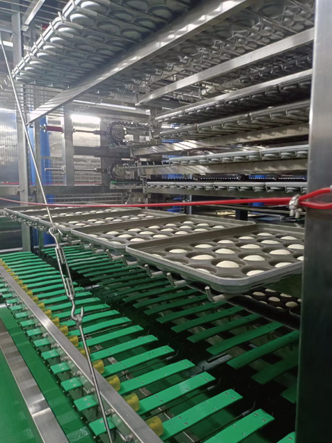 40000汉堡生产线1_看图王.jpg